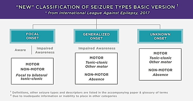 seizures-and-epilepsy-types-symptoms-and-causes